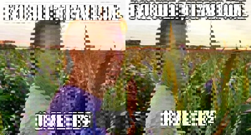 If you build it meme